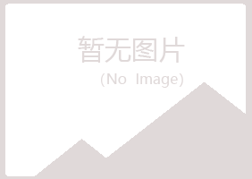 鹤岗兴山莫爱金属有限公司